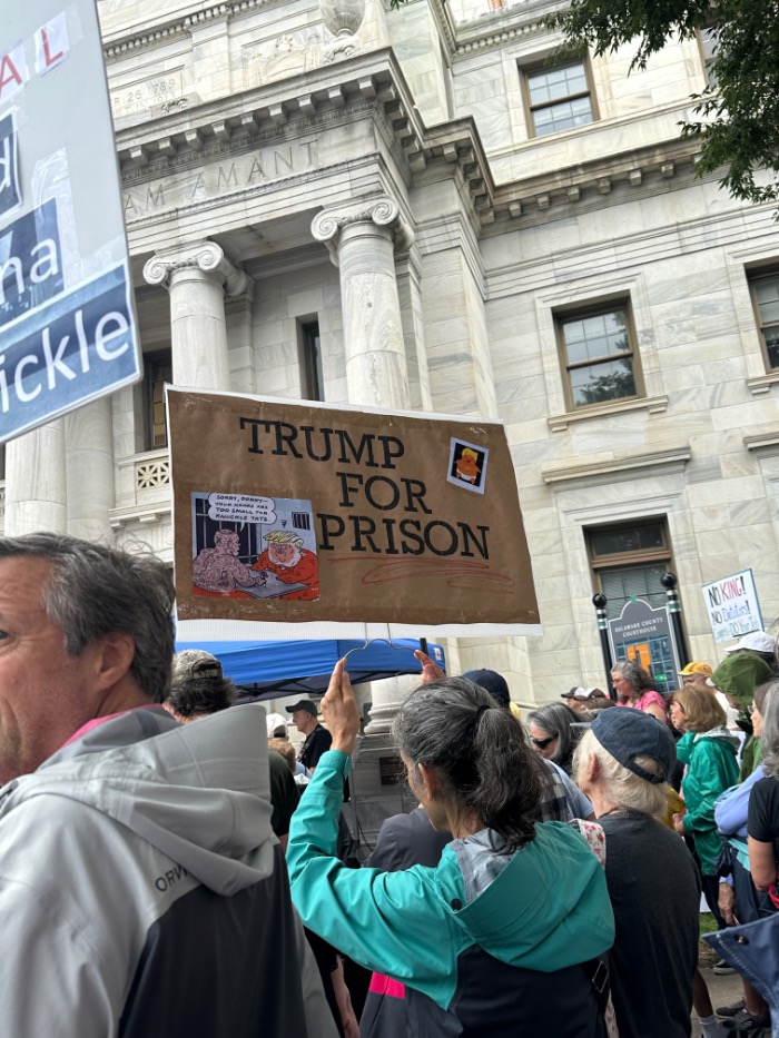 Media, PA No Kings protest